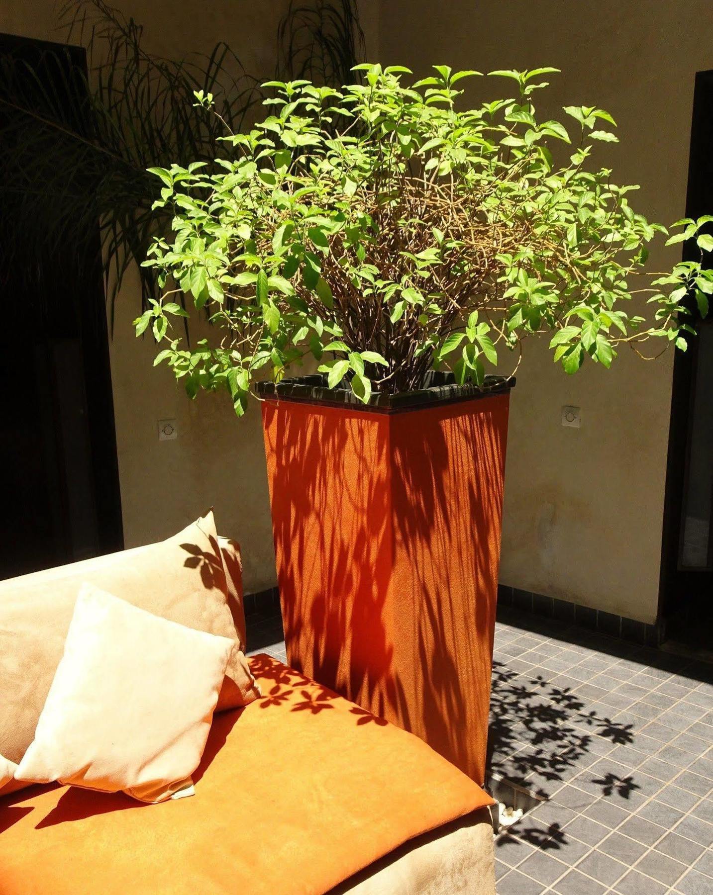 Riad Pierres Et Saveurs Soleil Marrakesh Exterior photo